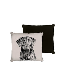 NEW Little Weaver Arts Cushion Collection